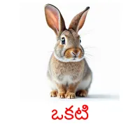 ఒకటి picture flashcards