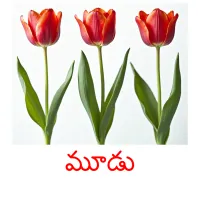 మూడు picture flashcards