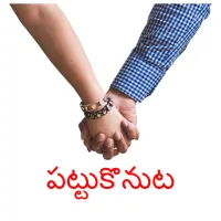 పట్టుకొనుట ansichtkaarten