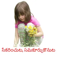 సేకరించుట, సమకూర్చుకొనుట ansichtkaarten