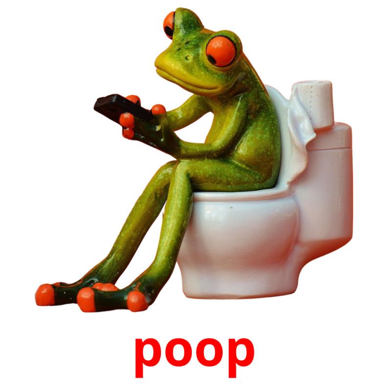 poop picture flashcards