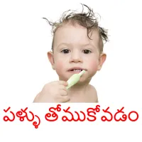 పళ్ళు తోముకోవడం Bildkarteikarten