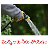 మొక్కలకు నీరు పోయడం Bildkarteikarten