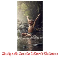 మొక్కలకు మందు పిచికారి చేయటం Bildkarteikarten