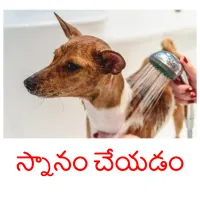 స్నానం చేయడం Bildkarteikarten