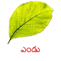 ఎండు picture flashcards