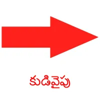 కుడివైపు picture flashcards