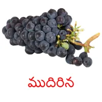 ముదిరిన picture flashcards