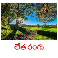 లేత రంగు picture flashcards