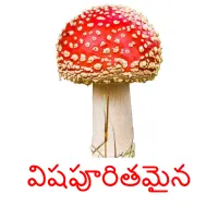 విషపూరితమైన picture flashcards