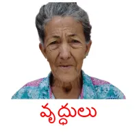 వృద్ధులు picture flashcards