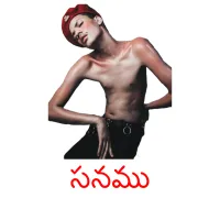 సనము picture flashcards