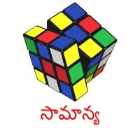 సామాన్య picture flashcards