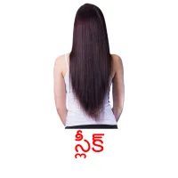 స్లీక్ picture flashcards