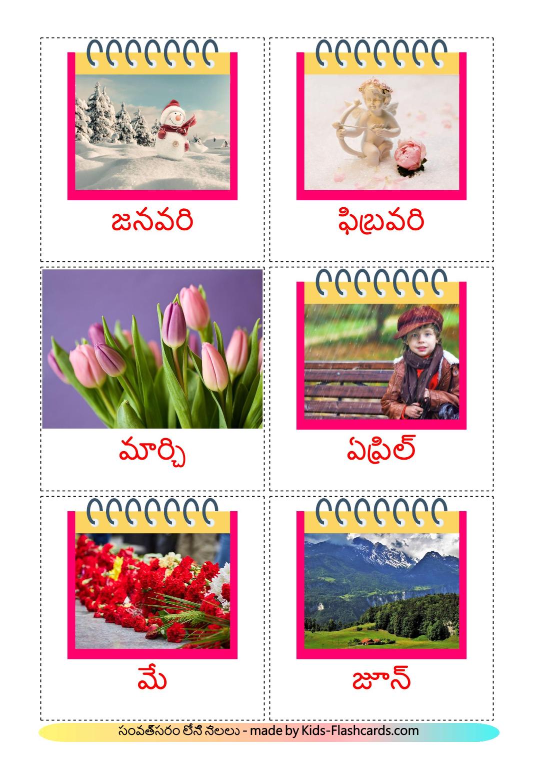 Months of the Year - 12 Free Printable telugu Flashcards 