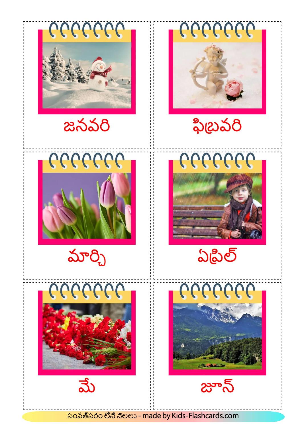 Months of the Year - 13 Free Printable telugu Flashcards 