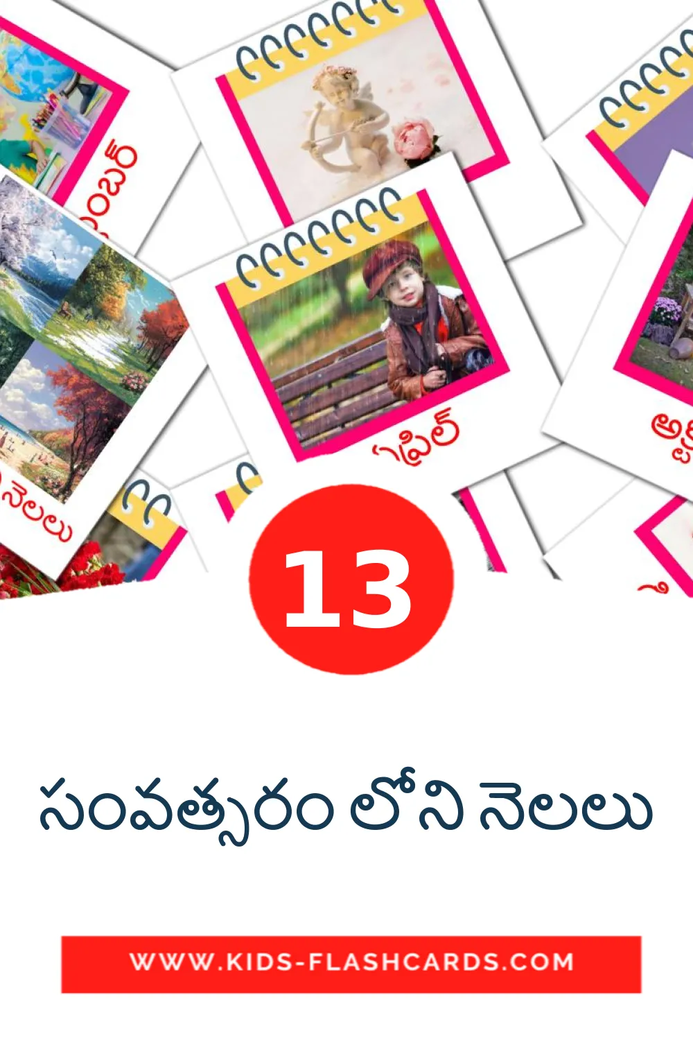 13 సంవత్సరం లోని నెలలు Picture Cards for Kindergarden in telugu