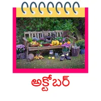 అక్టోబర్ picture flashcards