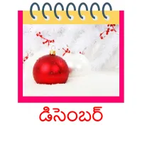 డిసెంబర్ picture flashcards