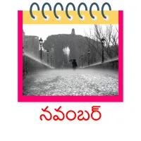 నవంబర్ picture flashcards