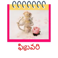 ఫిబ్రవరి picture flashcards