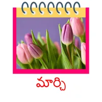 మార్చి picture flashcards