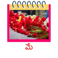 మే picture flashcards