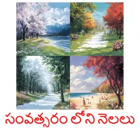 సంవత్సరం లోని నెలలు picture flashcards