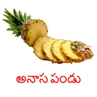 అనాస పండు Bildkarteikarten