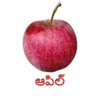 ఆపిల్ Bildkarteikarten