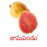 జామపండు Bildkarteikarten