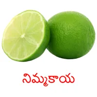 నిమ్మకాయ Bildkarteikarten