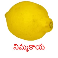 నిమ్మకాయ Bildkarteikarten