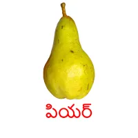 పియర్ Bildkarteikarten