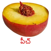 పీచ్ Bildkarteikarten