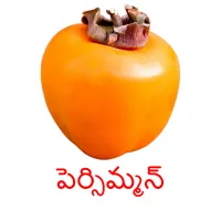 పెర్సిమ్మన్ Bildkarteikarten