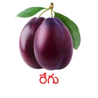 రేగు Bildkarteikarten