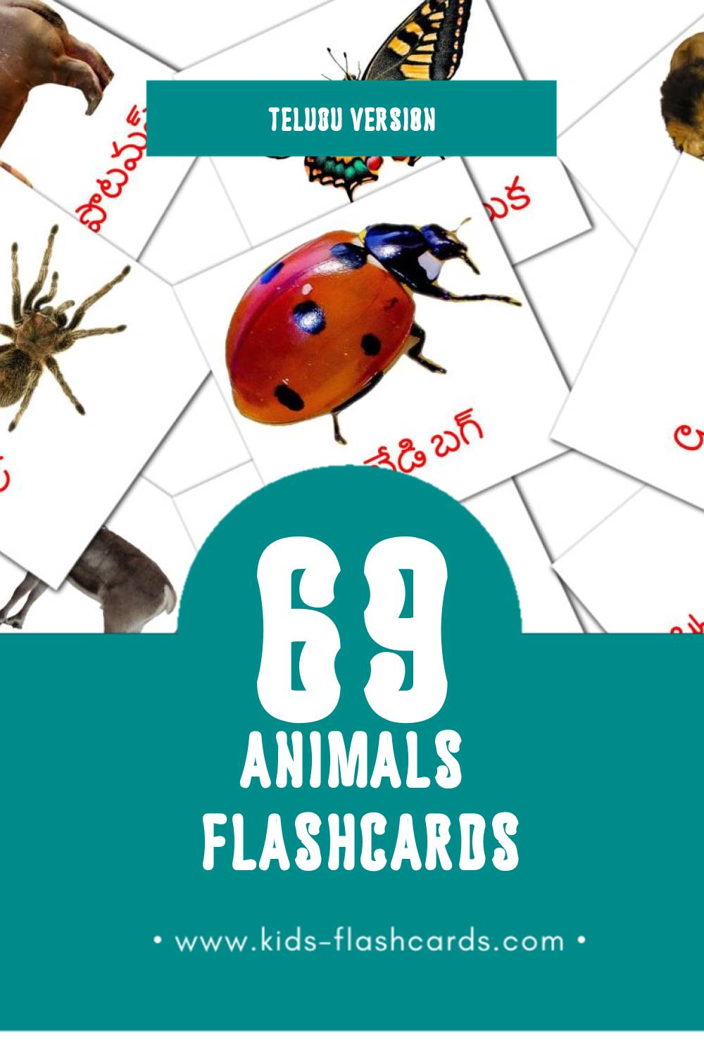 Visual జంతువులు Flashcards for Toddlers (69 cards in Telugu)