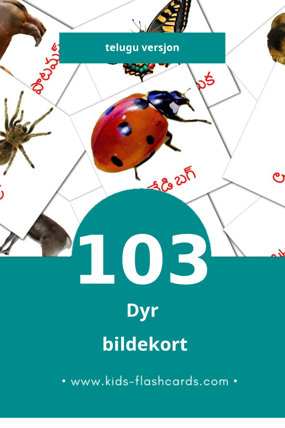 Visuelle జంతువులు bildekort for småbarn (103 kort på Telugu)