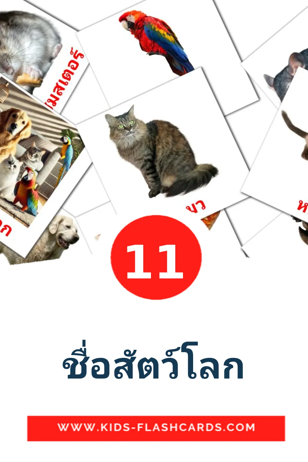 ชื่อสัตว์โลก на тайском для Детского Сада (11 карточек)