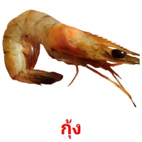 กุ้ง flashcards illustrate