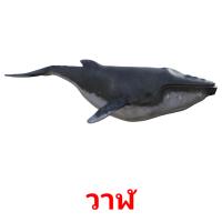 วาฬ card for translate