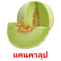 แคนคาลุป picture flashcards