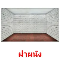 ฝาผนัง picture flashcards