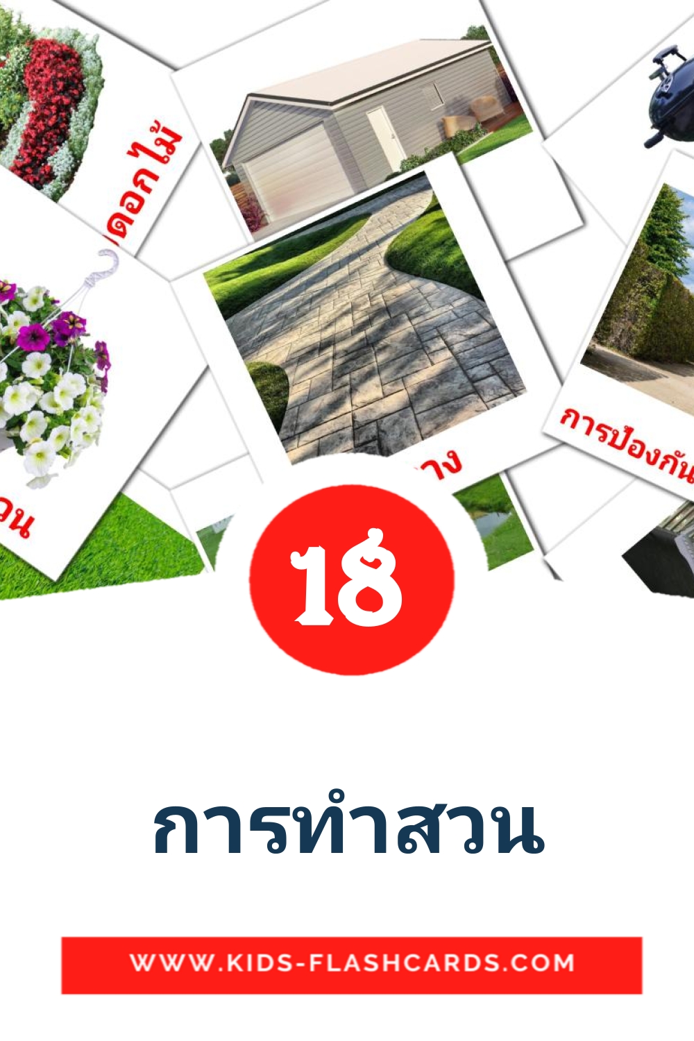 18 การทําสวน Picture Cards for Kindergarden in thai