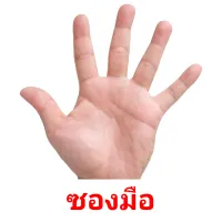 ซองมือ Tarjetas didacticas