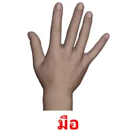 มือ Tarjetas didacticas