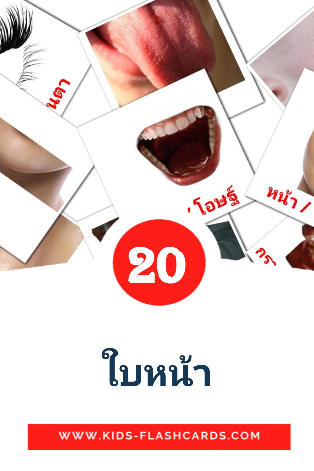 ใบหน้า на тайском для Детского Сада (20 карточек)