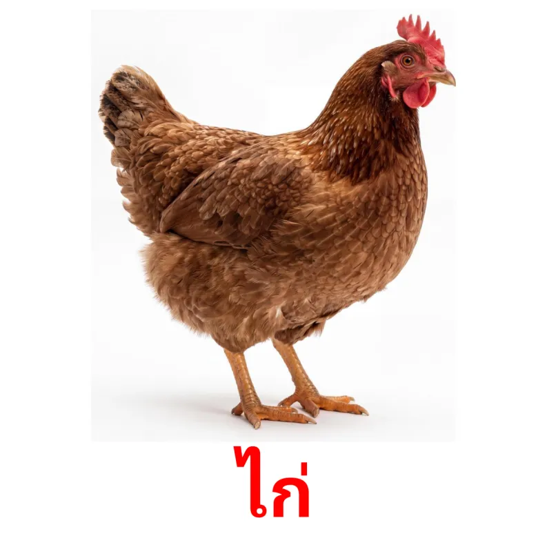 My Image 14