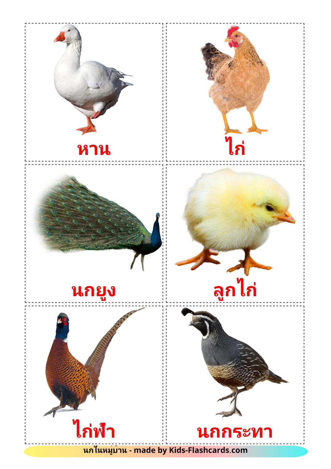 Птицы в деревне - 11 Карточек Домана на тайском